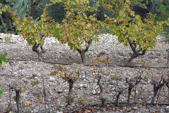 Tour image 8