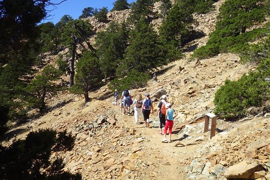 Tour image 3