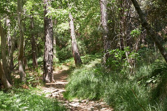 Tour image 5